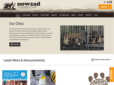 website picture