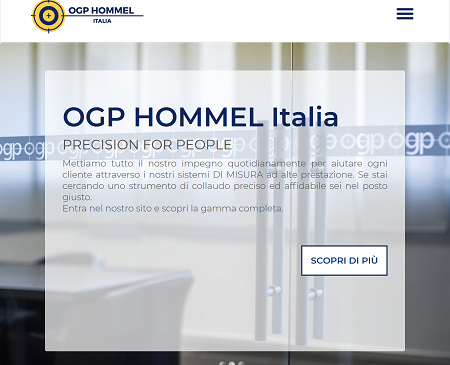 website picture