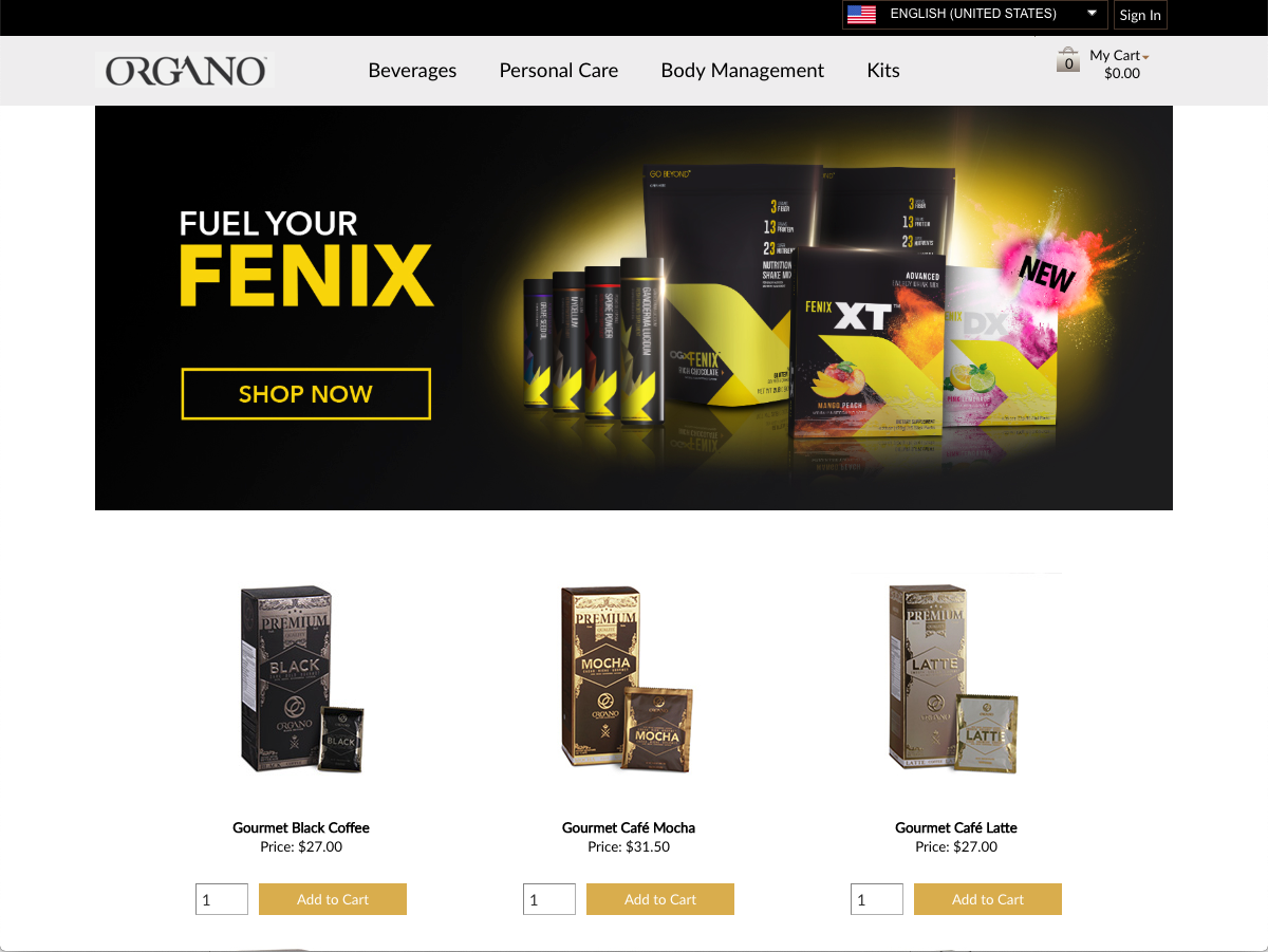 website picture