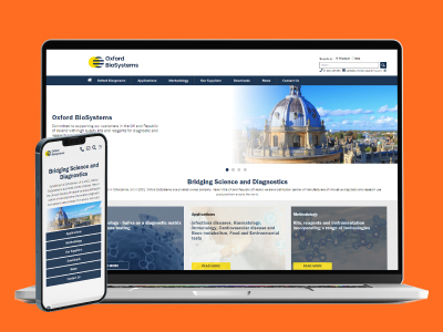 website picture