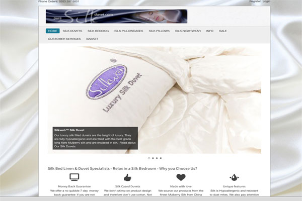 website picture