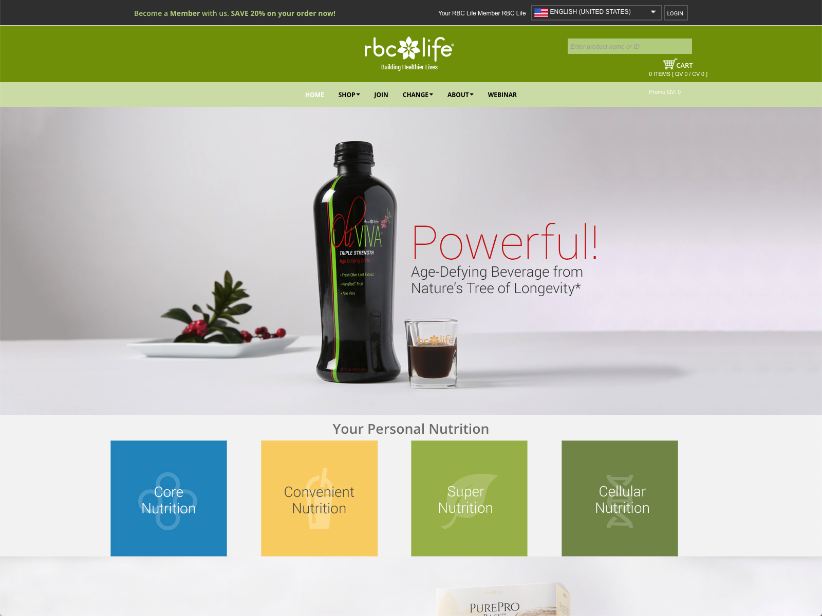 website picture