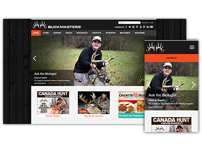 website picture