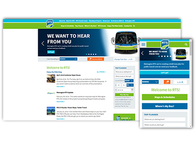 website picture