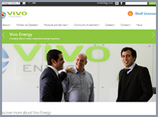 website picture