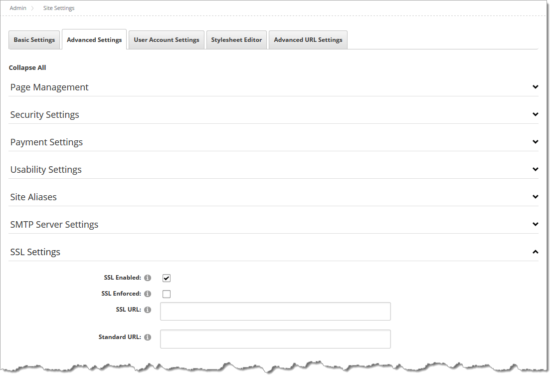How to ensure SSL for all authenticated sessions