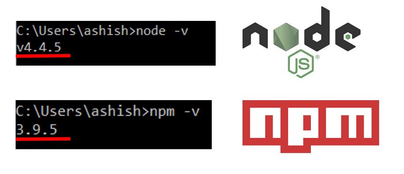 Node and NPM Versions