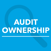 who owns the content audit?