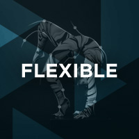 flexible CMS