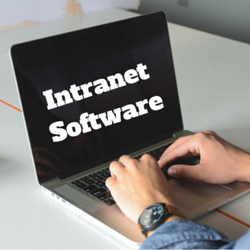 What Are The Different Types of Intranet Software?