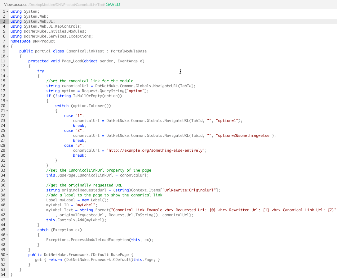 Set Canonical Link Url for Dnn Module