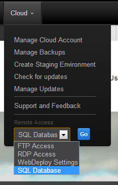 Cloud Menu Remote Connection Options